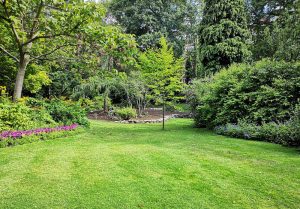 Optimiser l'expérience du jardin à Baudricourt